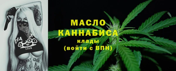 тгк Ельня