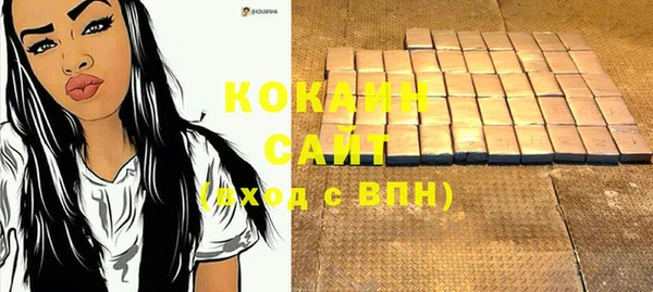 тгк Ельня