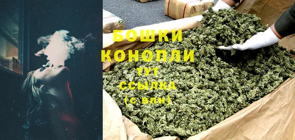 тгк Ельня