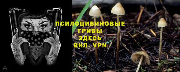 jwh Дмитровск