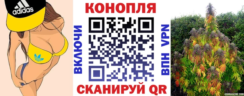 Марихуана сатива  Купить где  Клин 